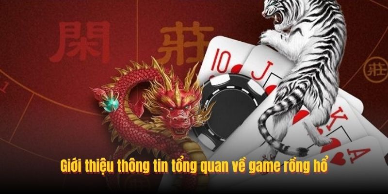 Lưu ý khi chơi Rồng Hổ online
